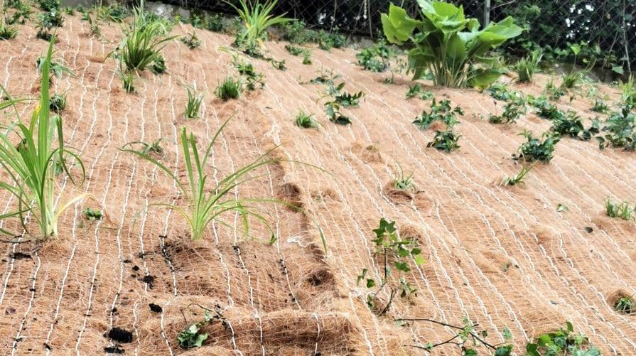 Protierozní rohož na svahu